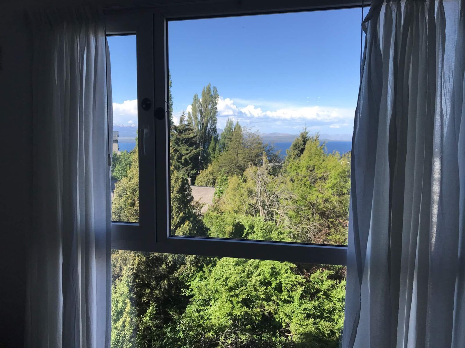 Araucaria · View